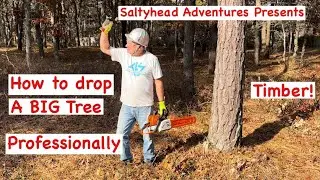 How to safely drop a Big Tree with Saltyhead
