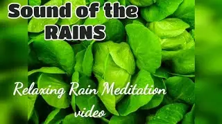 Monsoon sound to fall asleep||Rain subniminal||Divine rain soothing music||Drizzle music for yoga