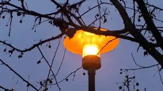 G&uuml;lpe 2019 November