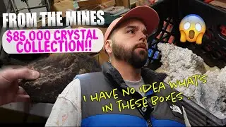 I Bought a Crystal Collection for $85,000 (PART 1) | From The Mines