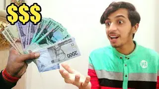 4 Ways to Make Money as a Software Developer