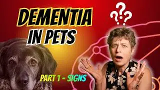 Cognitive Dysfunction in the Senior Dog & Cat: PART ONE — Pathophysiology and Diagnosis