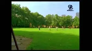 (RARE) Swiss Federal Office of Public Health - Swing, Flowers & Sonogram (2002, Switzerland)