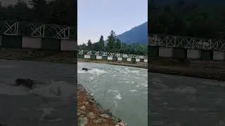 Pehalgum Park#short#viral#kashmir