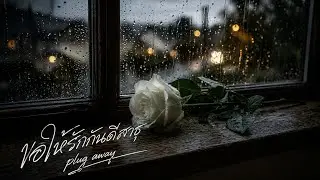 ขอให้รักกันดี (สาธุ) - plug away