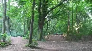 Nu&szlig;berg Sommer 2009