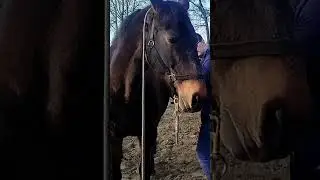 Costal articulation. Often adjustments require teamwork. He clearly tells me where the spot is here.
