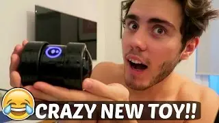 CRAZY NEW TOY!!