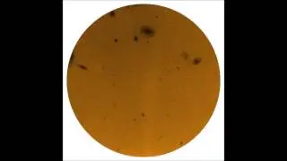 Mudwise - Tabrata