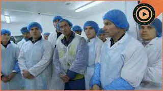 The Most Dangerous Chicken Factory Raid In The UK