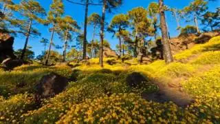 Индейская этническая музыка     Флейта, плюс Nature 2011