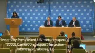 JOURNALIST QUESTIONS UNITED NATIONS ON SOUTHERN CAMEROON CRISIS