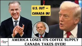 США отошли в сторону! Канада теперь контролирует поток кофе из Бразилии!