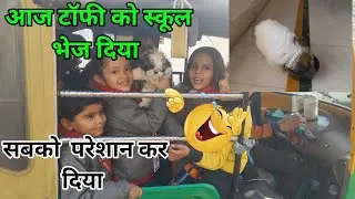 Toffee vlog।।आज टॉफी को स्कूल भेज दिया।।कर दिया सबको परेशान।।#dog #puppy #toffee 