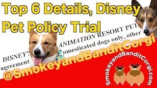 6 things to know about Disney Pet Policy