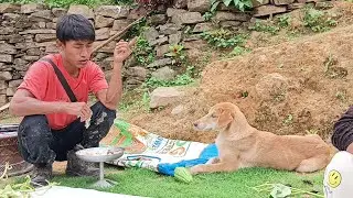 Hardworking n meeting m uncle.....