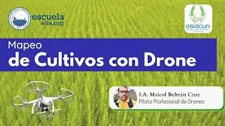 Mapeo de Cultivos con Dron | Herramienta eficaz para la toma de decisiones