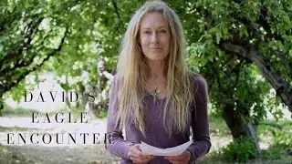 Wild Animal Speak: Unraveling Messages from Animal Encounters - Eagle