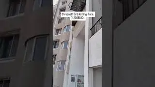Best bird netting service in PCMC & Pune. 7420989424