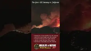 Five fires still burning in California #palisades #californiafires