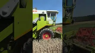 Claas Dominator 58 Combine💯🌾🎩