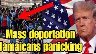 JAMAICANS THAT CROSSED THE BORDER TO 🇺🇸IN P@NICING MODE BECAUSE TRUMP WON LISTEN WHAT CALLERS SAYS