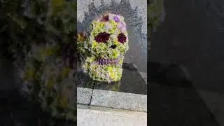 Flower Skull