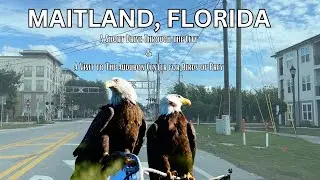 MAITLAND- A Short Drive Through the City