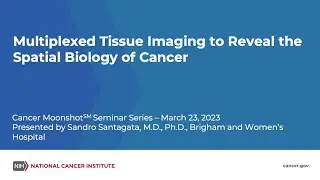 Multiplexed Tissue Imaging to Reveal the Spatial Biology of Cancer