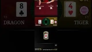 Dragon tiger live Casino videos
