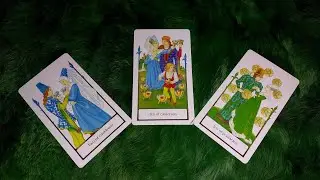 GIA TIÊN SẮP CHẤM CHỌN AI LÀ 