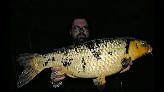 CARPFISHING LAGO DA ALFAROFIA ( PROELITEBAITS)