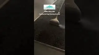 Commercial Rug Cleaning in NYC by NYC Steam Cleaning | Trusted by Offices, Hotels & Stores