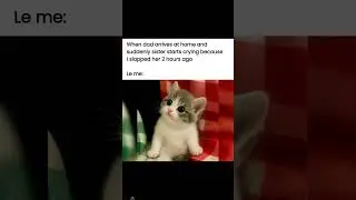 #CatMeme #FunnyCats #CatShorts #memes #CatTok #ViralCats #PetMeme #CatLovers #shorts