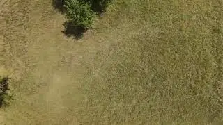 Avata 2   Juicy Flick Tree Crash   7 23