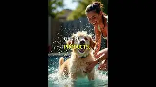 Daily Grooming Tips for Happy Dogs. #Shorts