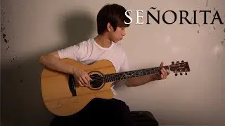 (Shawn Mendes,Camila Cabello) Se&ntilde;orita - Fingerstyle Guitar Cover