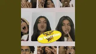 Mr Valentine (Tommy Gold Remix)