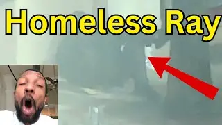 Life's Biggest Questions (Solved)