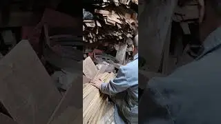 خشب عمره اكثر  من 800 سنة لصناعة العود