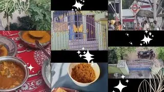 South india journey || Chalo Chennai || travle #explore #instatravle #travlereels #trending #food #