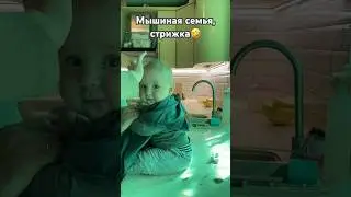 СТРИЖКА МЫШОНКА🐹 #семья #baby #earthbaby #familylove #goodbaby