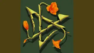 Forest Drone