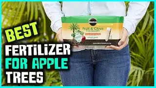 Top 5 Best Fertilizers for Apple Trees Review in 2023 | Organics All Purpose Fertilizer