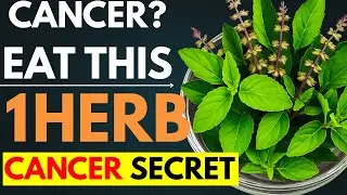 10 Powerful Herbs That Naturally Target Cancer Cells
