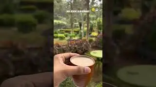 THIS RESORT IS IN KORAPUT ☕ #travel #trending #shortsviral #koraput #odisha #explore #vlogger #viral