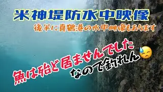 米神堤防水中映像(後半真鶴港)