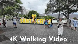 Plaza de Espa&ntilde;a in Santa Cruz, Tenerife 🇪🇸 | October 2024
