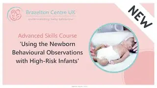 Using the Newborn Behavioural Observations with High-Risk Infants