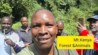 ВОСХОЖДЕНИЕ НА ГОРУ КЕНИЯ 🇰🇪‼️....ЗАХВАТЫВАЮЩИЕ ВОЛОСЫ ⁉️